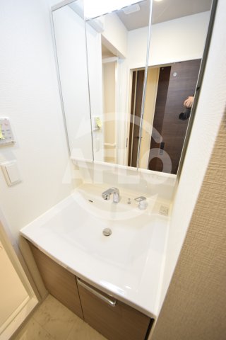 洗面設備　Grand Paseo south(グランパセオサウス)　独