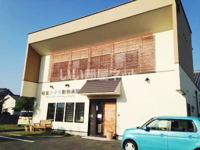 病院　帖佐ステラ動物病院（病院）まで505m