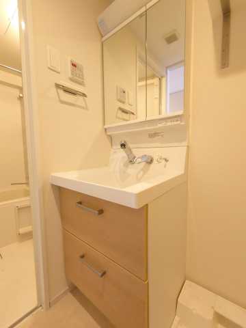 洗面設備　ハーモニーレジデンス池袋メトロゲートの洗面所