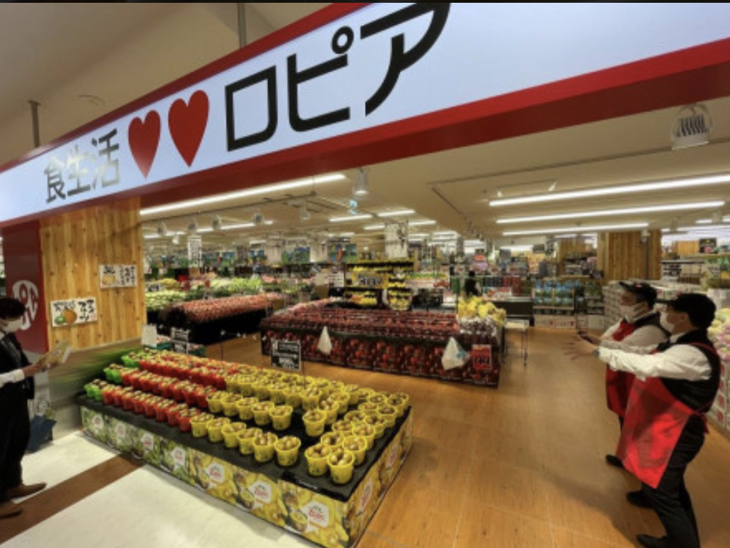 スーパー　トナリエつくばスクエア　ロピア（スーパー）まで2000m