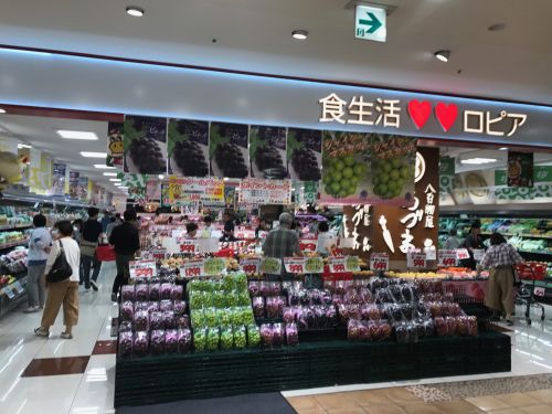 スーパー　ロピア（スーパー）まで331m