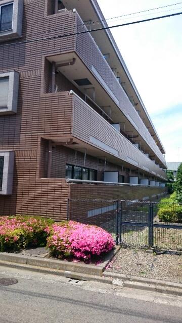 眺望　バルコニー側から撮った写真です