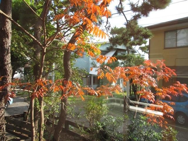 眺望　☆景色☆