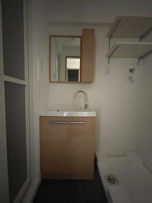 洗面設備　※別のお部屋のお写真です。御参考までに。