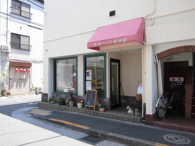 その他　赤塚ペット美容室（その他）まで1072m
