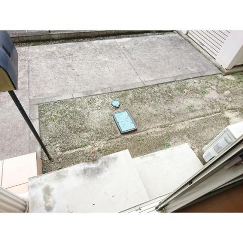 庭