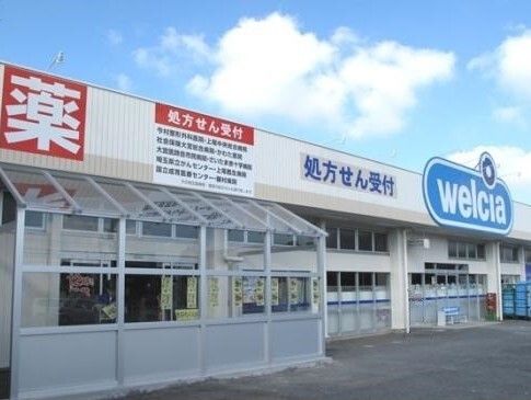 ドラックストア　ウエルシア上尾栄薬局（ドラッグストア）まで970m