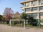 小学校　倉敷市立第四福田小学校（小学校）まで719m