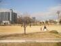 公園　扇町公園（公園）まで204m