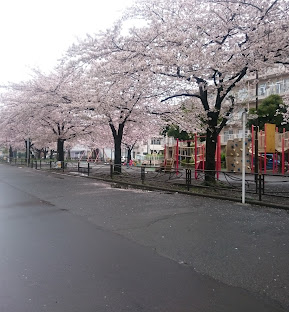 公園　中瀬緑地（公園）まで120m
