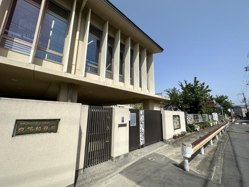 幼稚園・保育園　白鳩幼稚園（幼稚園・保育園）まで500m