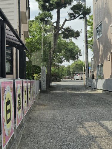 その他　白道こども園（その他）まで336m