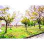 公園　三本柳中央公園（公園）まで1617m