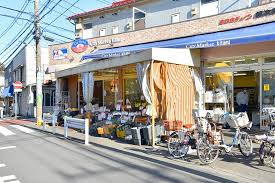 スーパー　全日食チェーン 全日食 銀次郎喜多見店（スーパー）まで256m