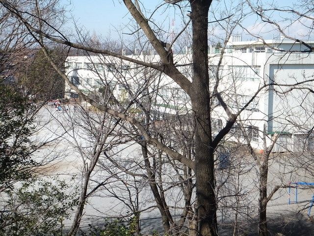 小学校　鶴川第４小学校（小学校）まで400m