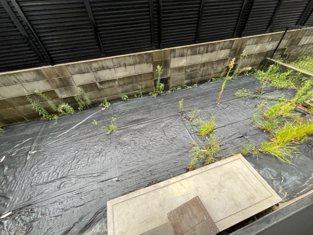 バウムライエ甲風園のその他写真