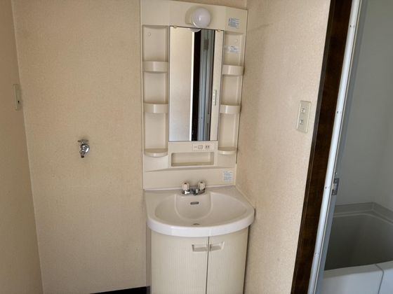 洗面設備　※他号室の写真です