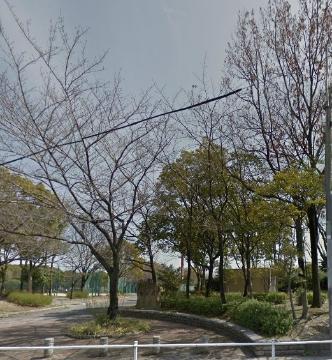 その他　楠公園（その他）まで739m