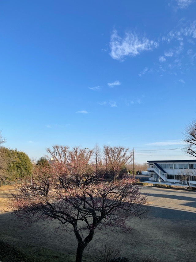 フォレストシティー町田のその他写真
