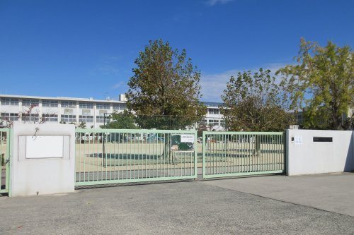 小学校　四條畷市立四條畷小学校（小学校）まで1315m