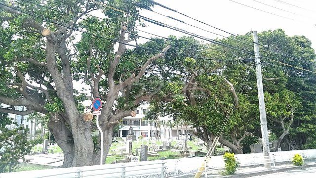 その他　ペリー提督上陸記念碑(沖縄)（その他）まで584m