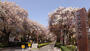 大学・短大　東京学芸大学（大学・短大）まで401m
