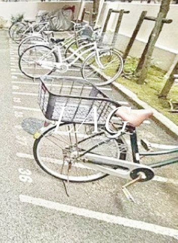 その他共有部分　駐輪場です。