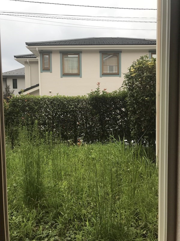 レウィシアのその他写真
