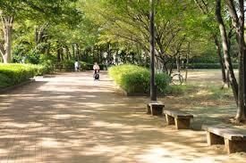 公園　都立東村山中央公園（公園）まで1549m