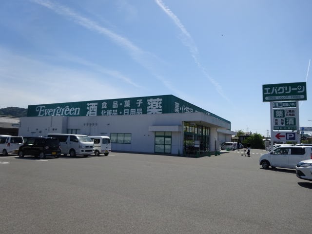 ドラックストア　エバグリーン かつらぎ店様（ドラッグストア）まで329m