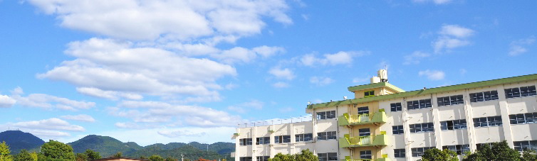 【フラワーハイツ吉祥寺の小学校】