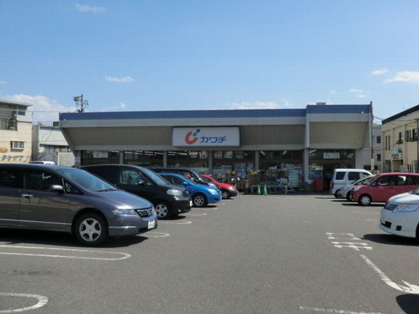 ドラックストア　カワチ薬品千波店（ドラッグストア）まで340m