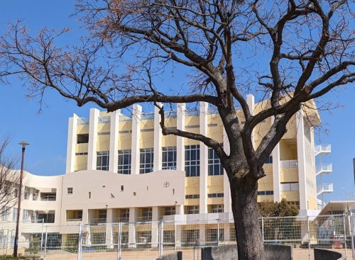 小学校　神戸市立若宮小学校（小学校）まで798m