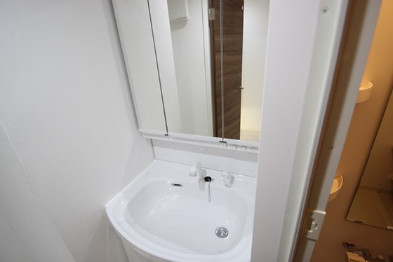 洗面設備　※別の部屋の写真です