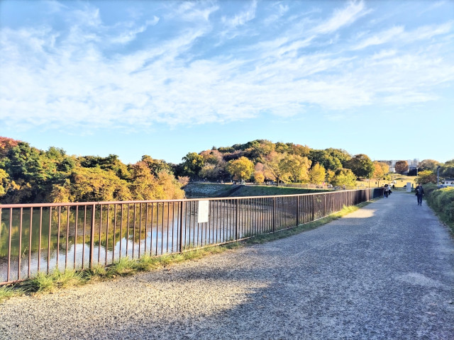 公園　天白公園（公園）まで700m