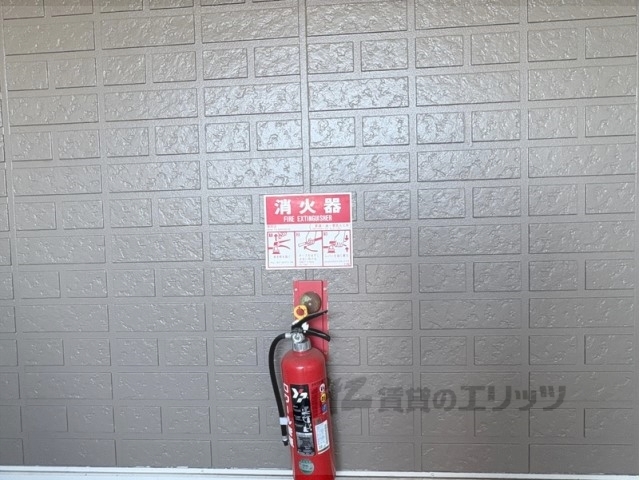 ロワール菅原のその他写真