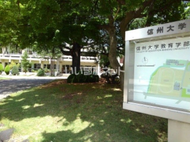 大学・短大　信州大学教育学部（大学・短大）まで296m