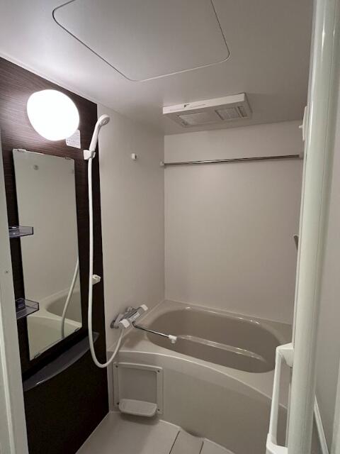 バス・シャワールーム　同建物別部屋の写真となります。