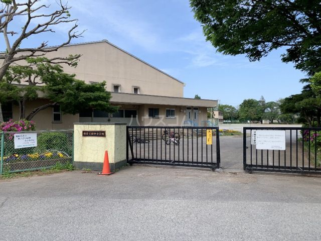 小学校　柏市立田中小学校（小学校）まで805m