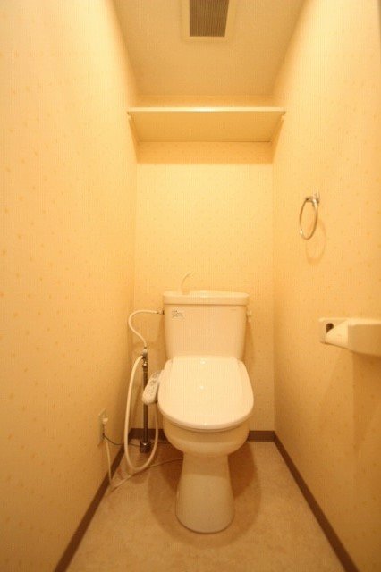 トイレ　同物件別号室のものです。