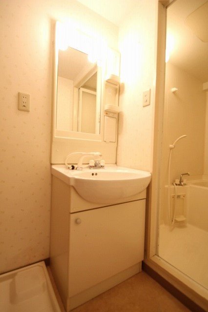 洗面設備　同物件別号室のものです。