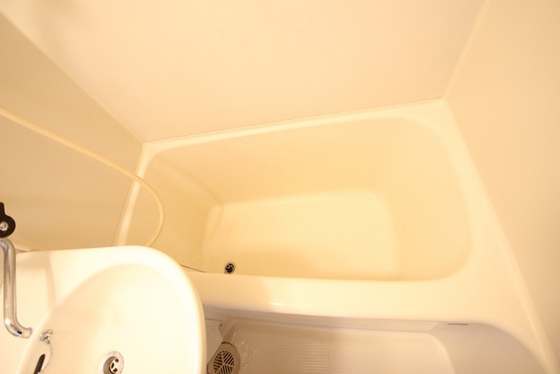 バス・シャワールーム　※別部屋の写真です