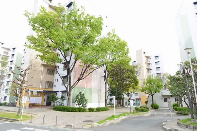 その他共有部分　敷地内６