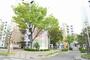 その他共有部分　敷地内６
