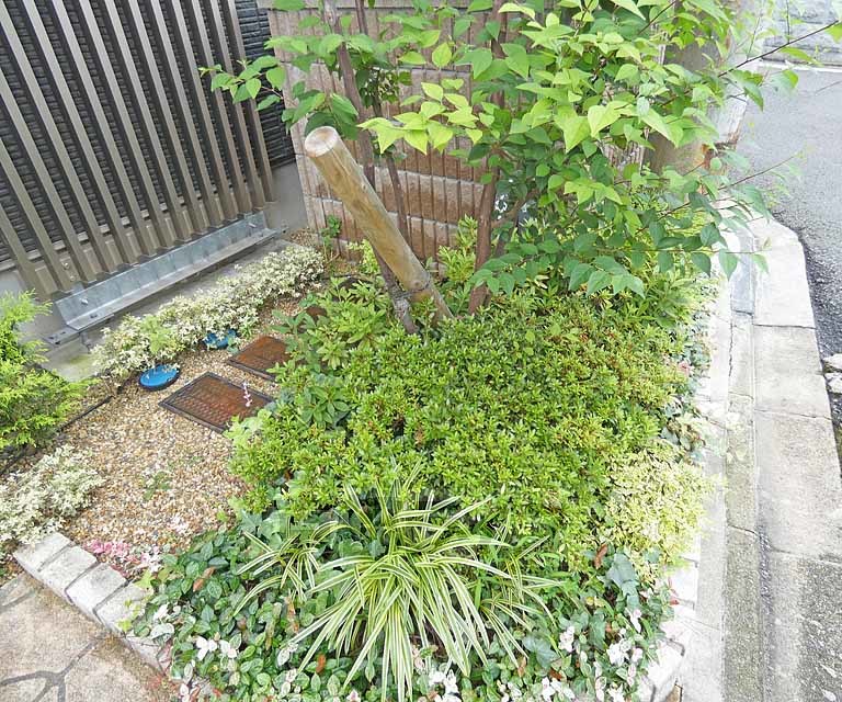 庭