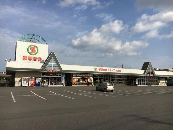 スーパー　新鮮市場花高松店（スーパー）まで356m