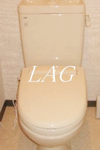 トイレ　トイレです。（同仕様です。）