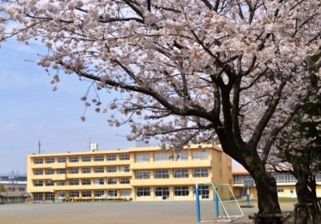 小学校　海老名市立社家小学校（小学校）まで907m