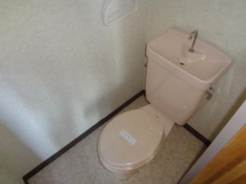 サザンハイツ Vのトイレ写真