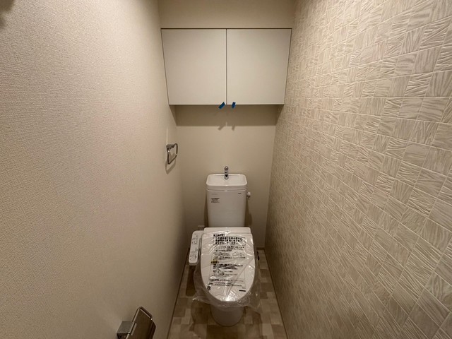 ＪＲ阪和線 美章園駅 徒歩2分 10階建 築2年のトイレ写真